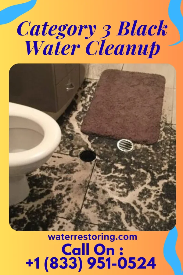 Category 3 Black Water Cleanup in Paradise, NV