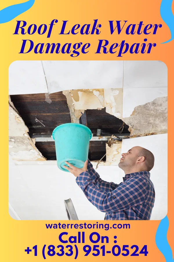Roof Leak Water Damage Repair in Paradise, NV